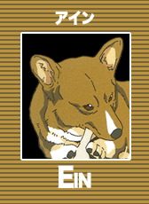 EIN